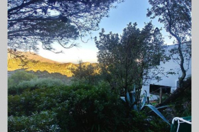 Bonito apartamento con vistas espectaculares